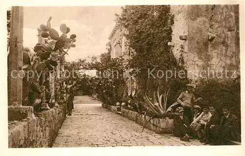 AK / Ansichtskarte Trsteno_Croatia Motiv Haeuserpartie Trsteno_Croatia