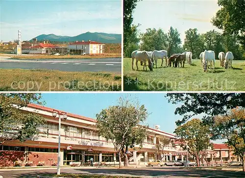 AK / Ansichtskarte Lipica Hotel Maestoso Motel Kozina Lipica