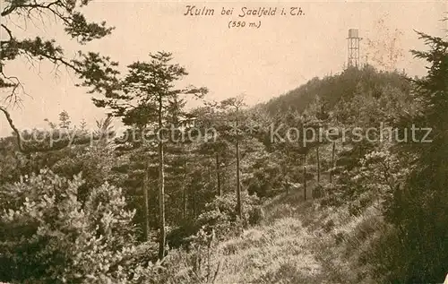 AK / Ansichtskarte Kulm_Saalfeld Landschaftspanorama Wald Aussichtsturm Kulm Saalfeld