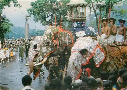 AK / Ansichtskarte Sri_Lanka Festival Kandy Perahera Caparisoned elephants Sri_Lanka