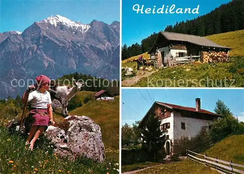 AK / Ansichtskarte Falknis Heidiland Heidialp Heidihaus Falknis