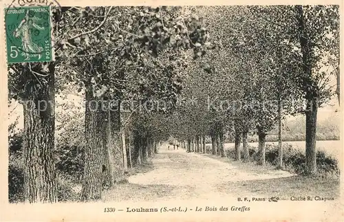 AK / Ansichtskarte Louhans Le Bois des Greffes Louhans