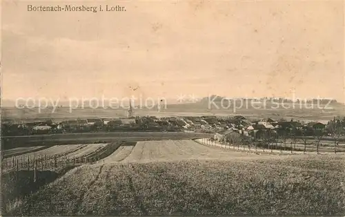 AK / Ansichtskarte Bortenach Morsberg Panorama 