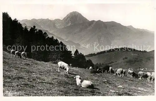 AK / Ansichtskarte Col_d_Aspin Vue sur le Pic du Midi de Bigorre Pyrenees Col_d_Aspin