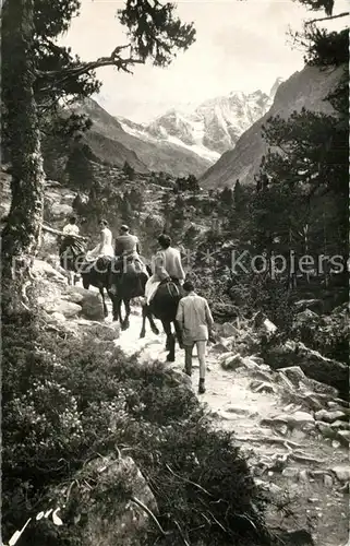 AK / Ansichtskarte Cauterets Sur le Chemin du Lac de Gaube a dos de mulet Pyrenees Cauterets