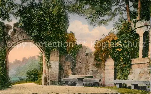 AK / Ansichtskarte Ringelheim Ruine im Schlosspark Ringelheim
