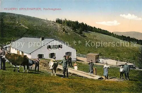 AK / Ansichtskarte Kahlenwasen Melkerei Hochvogesen Kahlenwasen