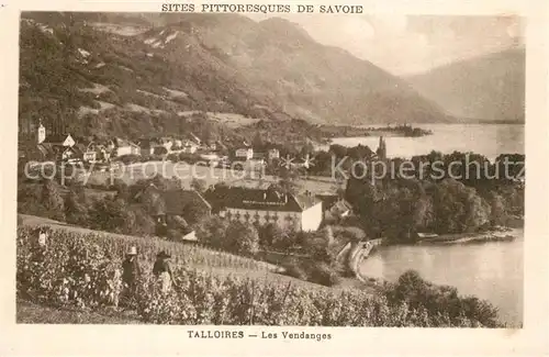 AK / Ansichtskarte Talloires Les Vendanges Talloires
