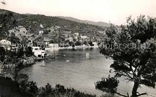 AK / Ansichtskarte Le_Lavandou Panorama Aiguebelle Cote d Azur Le_Lavandou