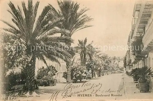 AK / Ansichtskarte Hyeres_les_Palmiers Boulevard Riondet des palmiers Hyeres_les_Palmiers