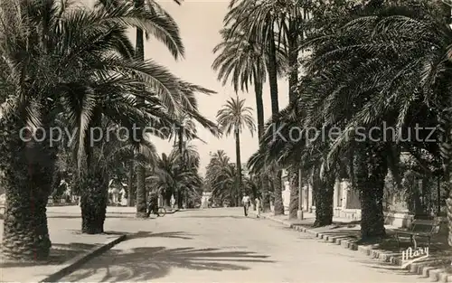 AK / Ansichtskarte Hyeres_les_Palmiers Avenue de Belgique Hyeres_les_Palmiers