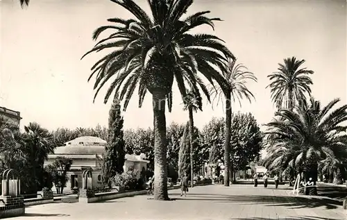 AK / Ansichtskarte Hyeres_les_Palmiers Avenue de Belgique Hyeres_les_Palmiers