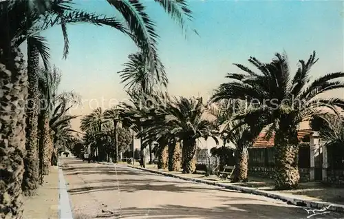 AK / Ansichtskarte Hyeres_les_Palmiers Avenue Albins Riquier Hyeres_les_Palmiers