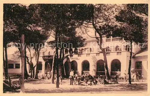 AK / Ansichtskarte Giens_Var La Pinede de la Plage d Hyeres Giens_Var