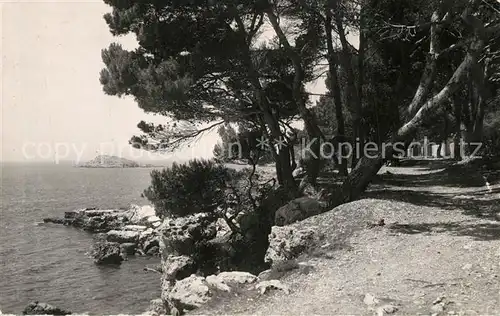 AK / Ansichtskarte Bandol Sous bois et bord de mer du Capeland Bandol