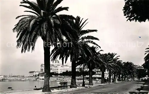 AK / Ansichtskarte Saint Raphael_Var Boulevard Felix Martin Cote d Azur Saint Raphael Var