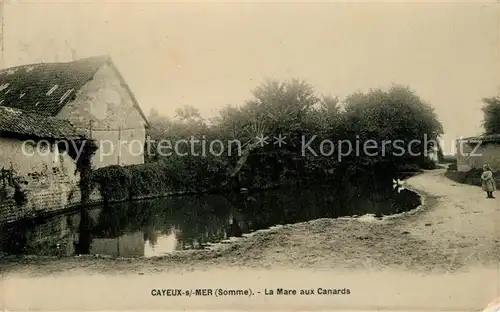 AK / Ansichtskarte Cayeux sur Mer La Mare aux Canards Cayeux sur Mer