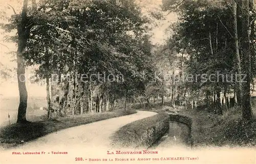 AK / Ansichtskarte Les_Cammazes Bords de la Rigole Les_Cammazes