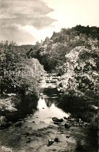 AK / Ansichtskarte Pontaubert Le Cousin Pontaubert