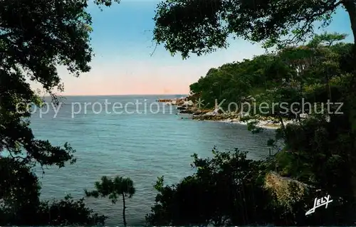 AK / Ansichtskarte Ile_de_Noirmoutier La cote sauvage a lAnse rouge Ile_de_Noirmoutier