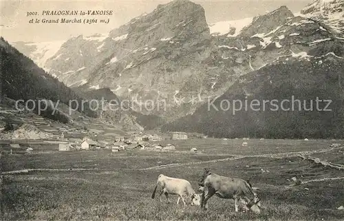 Pralognan la Vanoise Panorama et le Grand Marchet Alpes Francaises Pralognan la Vanoise