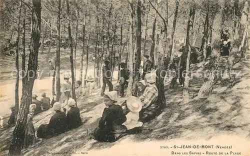 AK / Ansichtskarte Saint_Jean_de_Monts Dans les Sapins Route de la Plage Saint_Jean_de_Monts