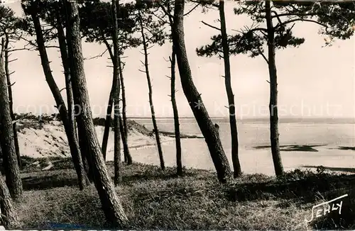 AK / Ansichtskarte La_Tranche sur Mer et La Faute sur Mer La Belle Henriette a travers les Pins La_Tranche sur Mer