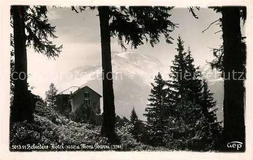 AK / Ansichtskarte Savoie Region Belvedere Hotel et Mont Pourri Alpes Francaises 