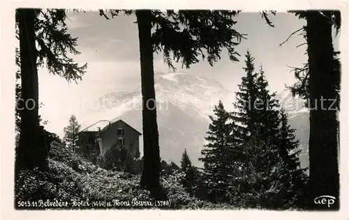 AK / Ansichtskarte Savoie Region Belvedere Hotel et Mont Pourri Alpes Francaises 