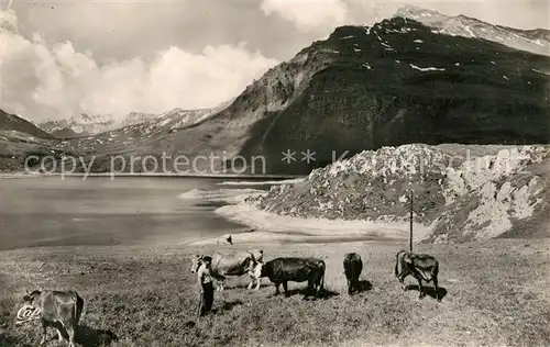 AK / Ansichtskarte Modane Col du Mont Cenis Paturages autour du Lac Modane