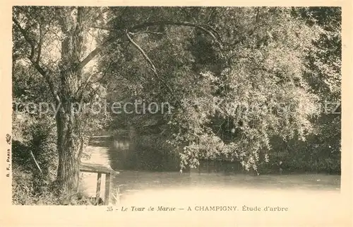 AK / Ansichtskarte Champigny sur Marne Le Tour de Marne Etude d arbre Champigny sur Marne