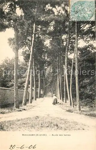 AK / Ansichtskarte Beauchamp Allee des Sapins Beauchamp