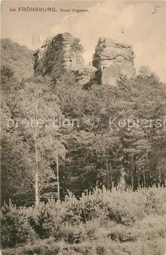 AK / Ansichtskarte Niedersteinbach_Bas Rhin Froensburg Ruine Niedersteinbach_Bas Rhin