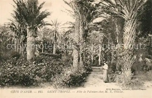 AK / Ansichtskarte Saint_Tropez_Var Allee de Palmiers chez M E Ollivier Saint_Tropez_Var
