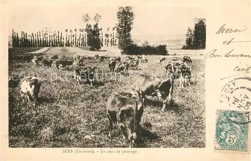 AK / Ansichtskarte Sens_Yonne Un coin du paturage des vaches Sens_Yonne