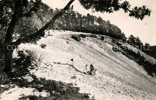 AK / Ansichtskarte La_Ferte Alais La Sabliere La_Ferte Alais