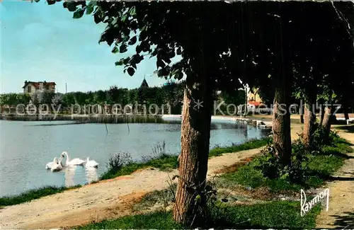 AK / Ansichtskarte Vigneux sur Seine Le Lac et ses cygnes Vigneux sur Seine