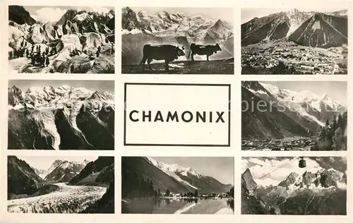 AK / Ansichtskarte Chamonix Gebirgspanorama Mont Blanc Massif Bergsee Almvieh Kuehe Chamonix