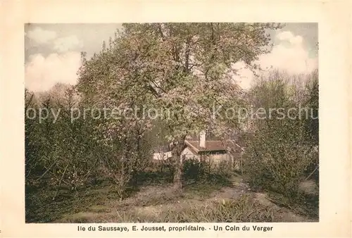 AK / Ansichtskarte Ile_du_Saussaye Un coin du Verger 