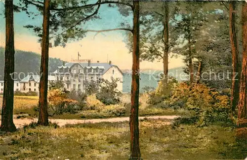 AK / Ansichtskarte Drei aehren_Trois Epis Hotel Kuenstlerkarte Drei aehren Trois Epis