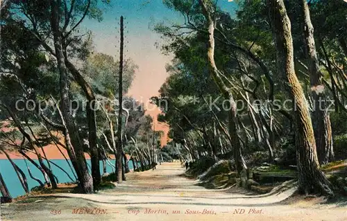AK / Ansichtskarte Menton_Alpes_Maritimes Cap Martin Sous Bois Menton_Alpes_Maritimes