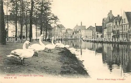 AK / Ansichtskarte Bruges_Flandre Les Cygnes du Quai Long Bruges_Flandre