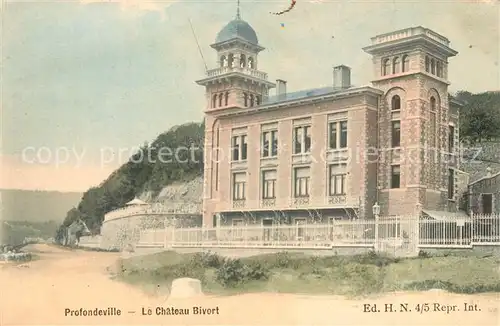 AK / Ansichtskarte Profondeville sur Meuse Le Chateau Bivort Profondeville sur Meuse