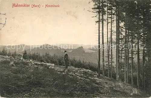 AK / Ansichtskarte Hahnenklee Bockswiese_Harz Hexenbank Hahnenklee Bockswiese