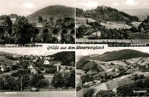 AK / Ansichtskarte Weserbergland Arensburg Schaumburg Buchholz Rosenthal Weserbergland