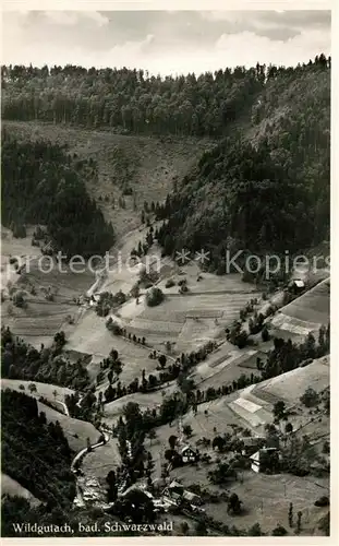 AK / Ansichtskarte Wildgutach Fliegeraufnahme Wildgutach