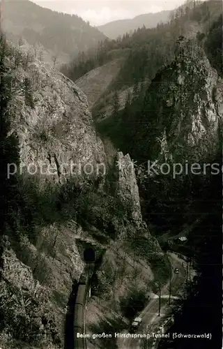 AK / Ansichtskarte Hirschsprung_Schwarzwald Tunneleinfahrt 