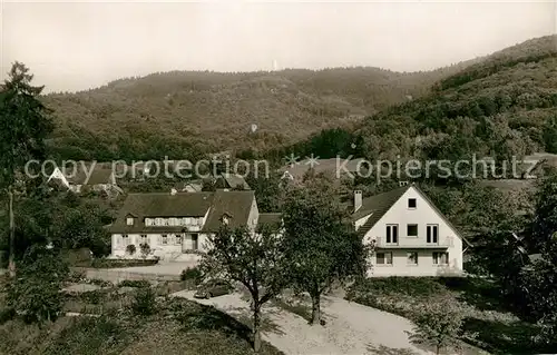 AK / Ansichtskarte Sehringen Gasthaus zum gr?nen Baum Sehringen