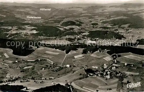 Titisee Fliegeraufnahme Titisee