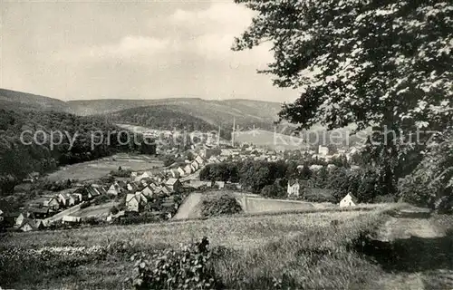 Gruenenplan Blick vom Bocksberg Panorama Gruenenplan